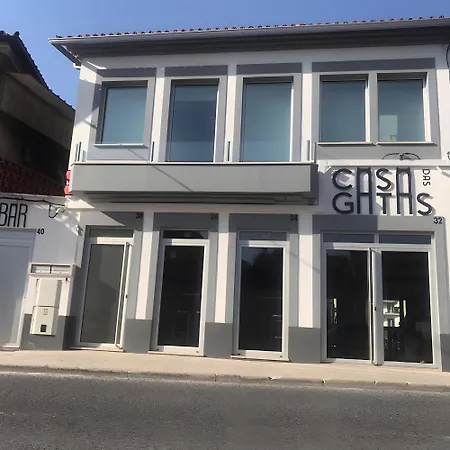 Maria Do Carmo - Casa Gatas *