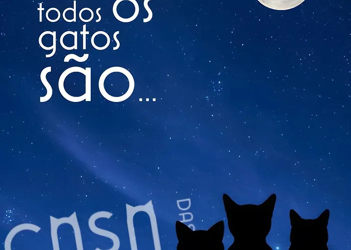 Maria Do Carmo - Casa Gatas *